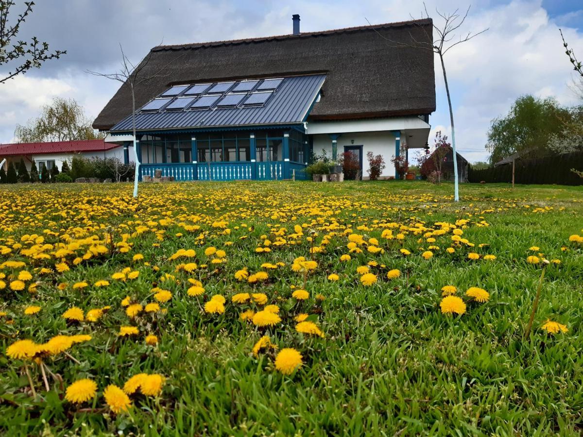 Agropensiunea Beluga Gorgova Luaran gambar
